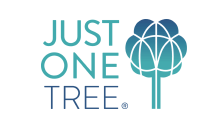 We plant a tree on your behalf